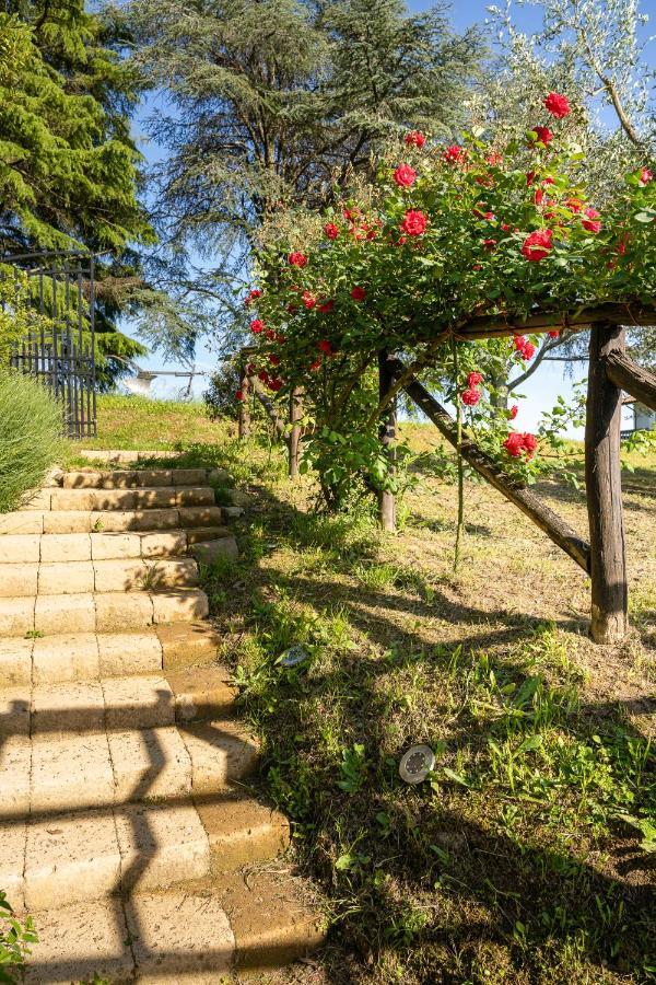 Agriturismo Bellandi Santa Lucia  Exterior photo